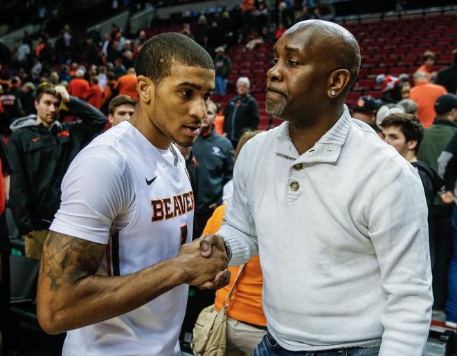 坚持不懈的 坚持不懈的