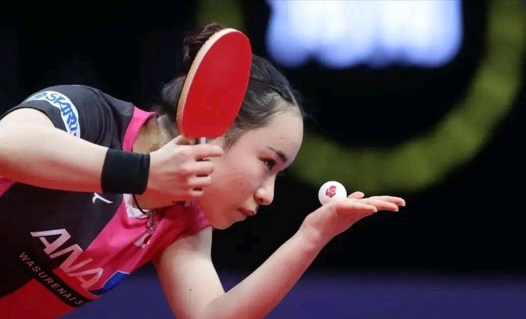 段落占比 段落占比